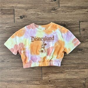 Disneyland Tie-Dye cropped sweater tee rainbow sherbet L
